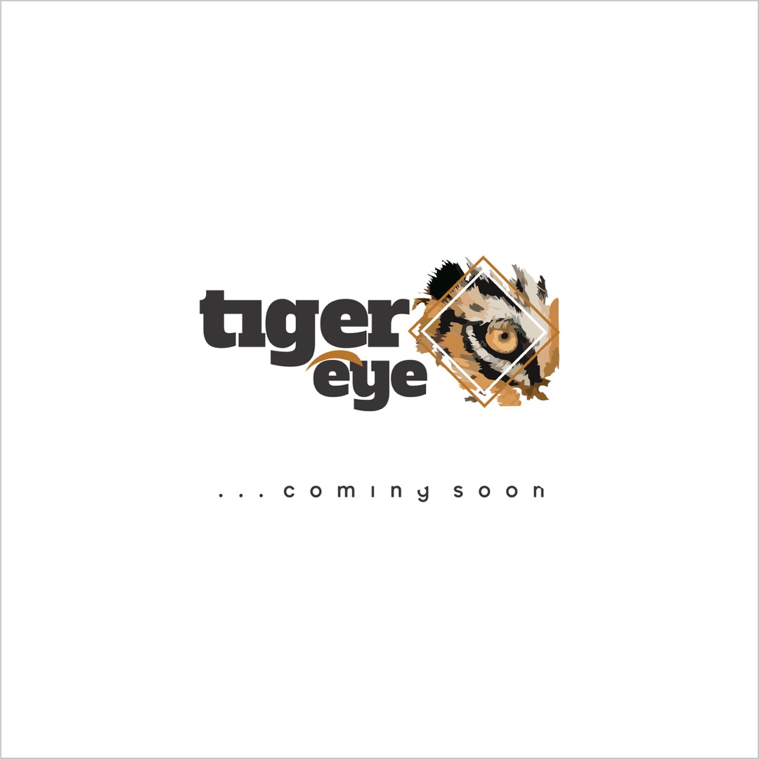 Tiger eye Journal