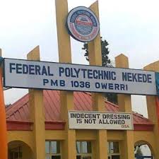 www.nigerianeyenewspaper.com_Federal-Poly-Nekede-Lecturers