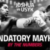 www.nigerianeyenewspaper.com-Joshua-to-fight-undefeated-Usyk-tomorrow