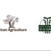 www.nigerianeyenewspaper.com-African-Agriculture